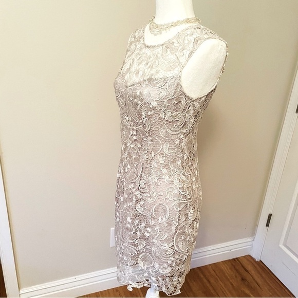 Francesca’s Lace Overlay Mini Dress – Silver/White, Elegant, Size Medium - Picture 3 of 13